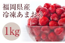 冷凍いちご 「博多あまおう」 1kg【やまや】_HA1707