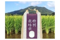 新米先行予約！令和7年産【定期便/年10回】農薬不使用の白米「4種の特別栽培米」 5kg×10回定期便【田野のおいしいお米】_HB0119