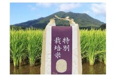 新米先行予約！令和7年産【定期便/年10回】農薬不使用の玄米「4種の特別栽培米」 5kg×10回定期便【田野のおいしいお米】_HB0118