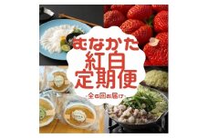 【年6回／偶数月お届け】むなかたの魅力をたっぷりお届け!むなかた紅白定期便_HB0201