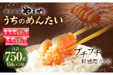 【やまや】うちのめんたい5個セット 明太子 めんたいこ 150g×5個 750g
