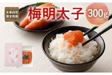 太宰府市限定 梅明太子 300g