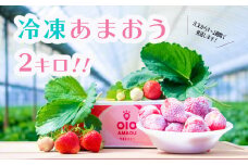 あまおう 冷凍 1kg×2袋  計2kg いちご イチゴ