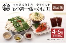 【もつ鍋一藤×かば田】国産 もつ鍋 醤油 (4～6人前) & 辛子明太子