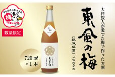 【数量限定／太宰府梅プロジェクト】 「令和」発祥の都 太宰府の梅使用 熟成プレミアム 梅酒 東風の梅 720ml×1本  焼酎 うめしゅ お酒