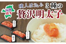 福岡・博多名物 職人仕込み3種の贅沢明太子 食べ比べ セット 明太子