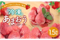 冷凍あまおう 約1.5kg あまおう 福岡県産 九州産 いちご 苺 イチゴ 果物 フルーツ スムージー ジャム 冷凍フルーツ 冷凍
