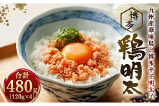 博多 鶏明太 4個セット 合計480g (120g×4個)  福岡 太宰府 鶏 明太子 とり めんたいこ ご飯のお供
