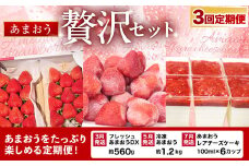 【2024年3月上旬より発送開始】【予約受付・3回定期便】 あまおう 贅沢セット No2 冷凍あまおう あまおうレアチーズケーキ フルーツ 果物