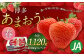博多あまおう4パック（春）