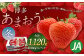 博多あまおう4パック（冬）