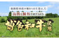 【福岡県産博多和牛使用】博多和牛じっくり煮込んだビーフカレー レトルト 4人前