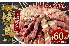 本場博多の九州産焼鳥セット 計60本
