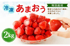 【特別栽培】うるう農園 冷凍あまおう 2kg 【2025年2月上旬より発送開始】あまおう イチゴ いちご 苺 フルーツ 果物