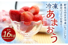 福岡県産 冷凍あまおう 1.6kg 800g×2パック