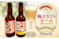 梅クラフトビール 330ml×6本