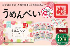 うめんべい うめ味 5個セット 合計60枚