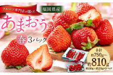  福岡産【春】あまおう3パック いちご フルーツ デザート【2025年2月上旬～3月下旬発送予定】
