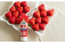 【9月30日で受付終了】福岡県産 あまおう 2パック ＆ 練乳 いちご 苺 フルーツ 国産 セット【2024年11月下旬～2025年3月下旬発送予定】