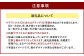 福岡県産 あまおう 2パック ＆ 練乳 いちご 苺 フルーツ 国産 セット