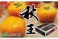 ブランド柿 「 秋王 」約3.5kg 6個～14個入り
