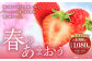 春のあまおう（2L・2A・G規格以上 4パック）