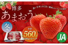 博多 あまおう 2パック（冬）【2024年12月上旬～2025年1月下旬発送予定】