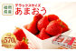 【アフター保証】うるう農園 あまおう DX等級 2パック （約570g）