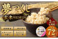 【3ヶ月定期便】夢つくし 玄米 PREMIUMパック 24パック×3回