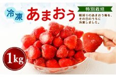 【特別栽培】うるう農園 冷凍あまおう 1kg【2025年2月上旬発送開始】あまおう イチゴ いちご 苺 フルーツ 果物