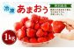 【特別栽培】うるう農園 冷凍あまおう 1kg