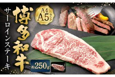 【A4・A5】 博多和牛 サーロインステーキ 計約250g 黒毛和牛 和牛 牛肉