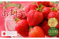 いちごの王様あまおう 約280g×4パック 約1120g