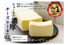 ちゅー太の濃厚チーズケーキ（白） ケーキ 菓子 福岡県産品