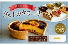 タルトカタラーナ 6個セット（BOX入） スイーツ お菓子 菓子 おやつ 洋菓子 焼菓子 カタラーナ プリン デザート 九州 福岡