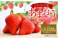 福岡県産 あまおう 約280g×4パック 合計1120g 果物 くだもの フルーツ 苺 いちご イチゴ ストロベリー デザート 福岡県 太宰府市【2025年1月上旬～4月上旬発送予定】