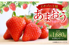 福岡県産 あまおう 約280g×6パック 合計1680g 果物 くだもの フルーツ 苺 いちご イチゴ ストロベリー デザート 福岡県 太宰府市【2025年1月上旬～4月上旬発送予定】