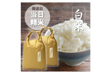 【令和6年産】福岡県産 【特A】評価のお米「元気つくし」5kg×2袋（10kg）白米 精米 お米 米