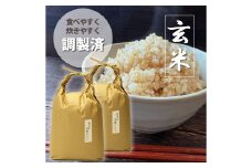 【令和6年産】福岡県産 【特A】評価のお米「元気つくし」5kg×2袋（10kg）玄米 お米 米