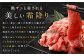 佐賀牛 切り落とし 1.2kg（600g×2パック）
