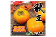 秋のフルーツの王様 ブランド柿 「 秋王 」 化粧箱 約1.75kg 6個入り【2025年10月下旬～11月下旬発送予定】