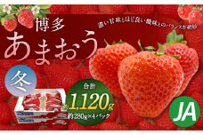 博多 あまおう 4パック（冬）【2025年12月上旬～2026年1月下旬発送予定】