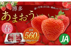 博多 あまおう 2パック（春）【2026年2月上旬～4月下旬発送予定】