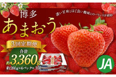【3回定期便】博多 あまおう 4パック【2026年2月上旬～4月下旬発送予定】