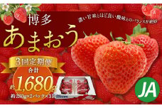 【3回定期便】博多 あまおう 2パック【2026年2月上旬～4月下旬発送予定】