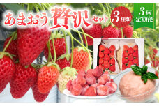 【予約受付・3回定期便】あまおう 贅沢セット いちご イチゴ フルーツ 果物【2026年3月上旬～7月下旬発送予定】