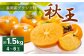 福岡県産 ブランド柿 秋王 約1.5kg (4-6玉) 