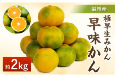 福岡県産 極早生みかん 早味かん 約2kg みかん ミカン フルーツ 果物 国産【2025年9月上旬～9下旬発送予定】