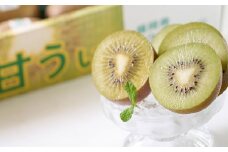 福岡県産 ブランドキウイ 甘うぃ 約3kg （24-33玉） キウイ キウイフルーツ フルーツ 果物 国産【2025年10月下旬～12月上旬発送予定】