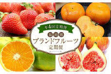 【4回定期便】福岡県 ブランドフルーツ 定期便 あまおう（約280g×4パック）とよみつひめ（約300g×4パック）早味かん（約3kg）秋王（約1.2kg）計6.52kg 果物 いちご 苺 イチゴ 無花果 いちじく イチジク みかん ミカン 蜜柑 柿 カキ かき